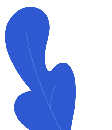 bg image secondary